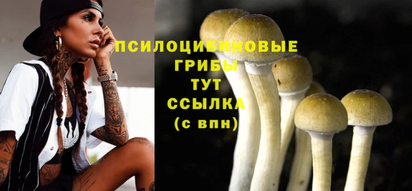 амфетамин Новодвинск