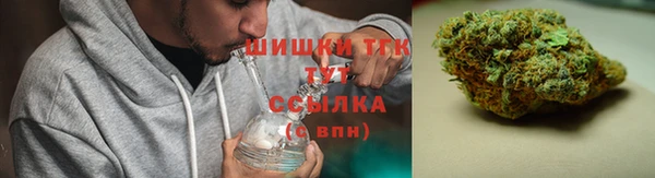 стафф Новозыбков