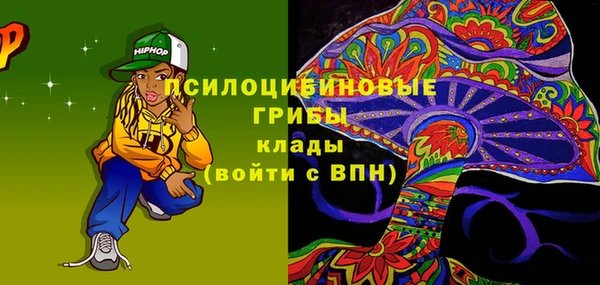 крисы Нея